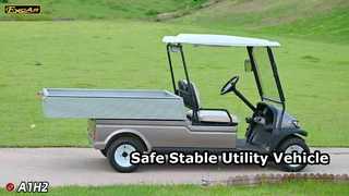 A1H2 शैंपेन गोल्ड यह इलेक्ट्रिक बहुउद्देश्यीय उपयोगिता वाहन लंबे समय तक सुरक्षा और स्थिरता प्रदान करता है